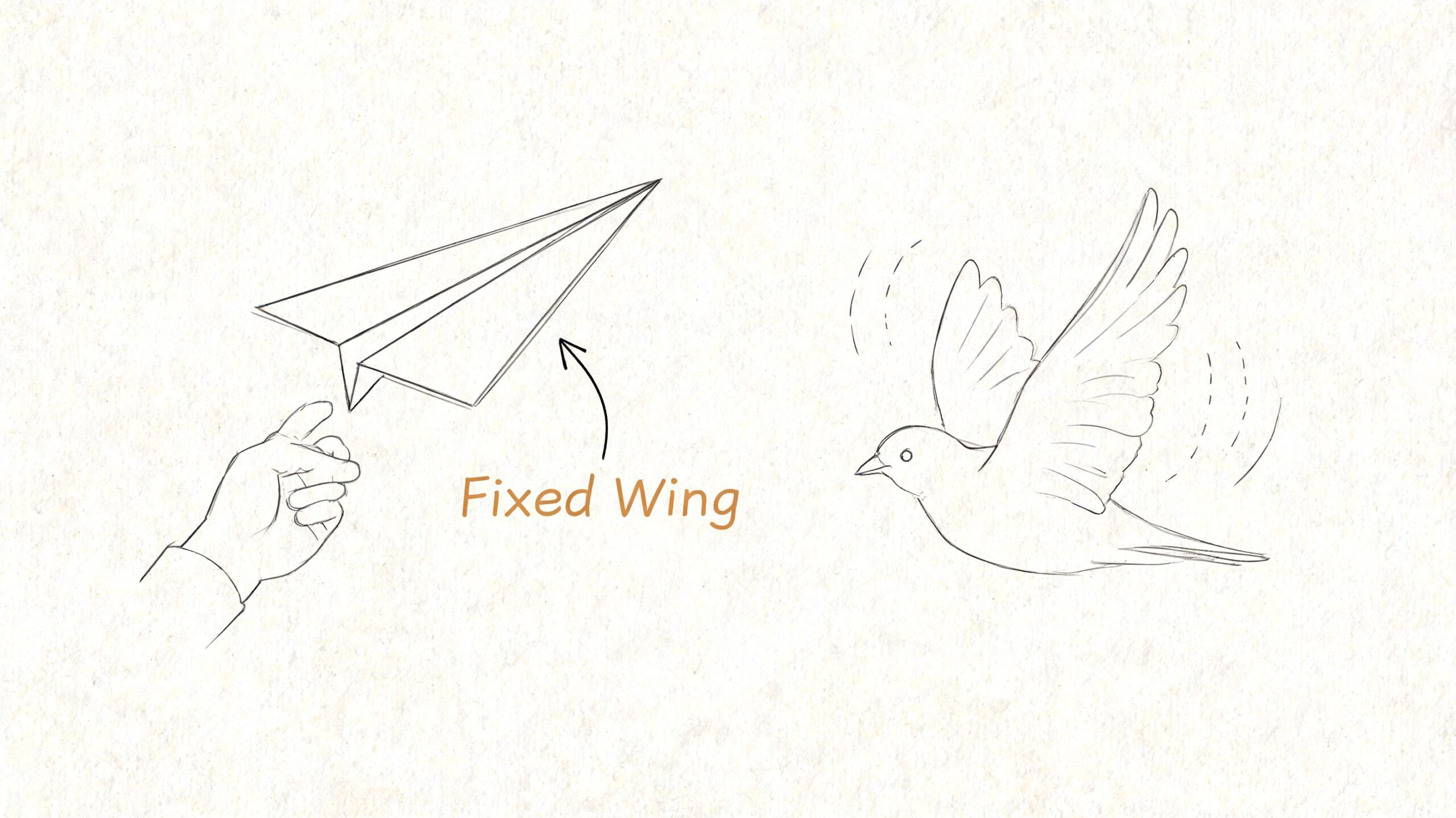 A hand launching a paper airplane with the label Fixed Wing next to a flying bird.