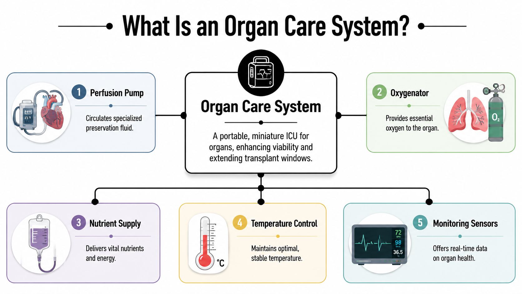 An infographic detailing five key components of an Organ Care System used for transplant organ preservation.