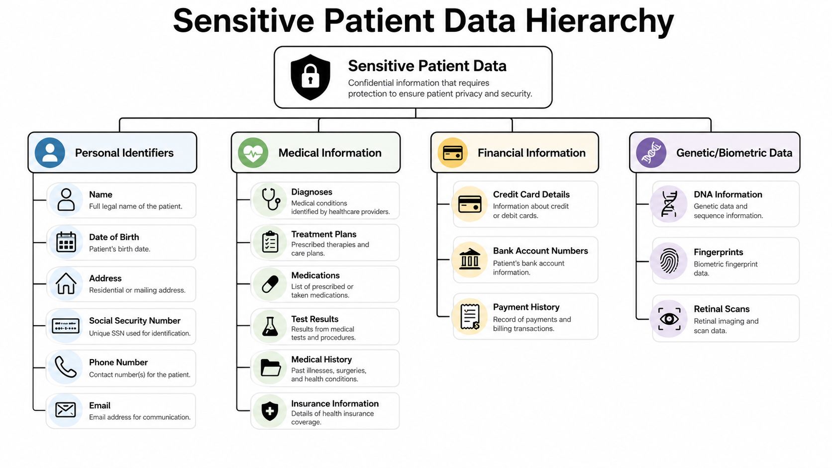 A hierarchical flowchart detailing four categories of sensitive patient data including personal, medical, financial, and biometric information.